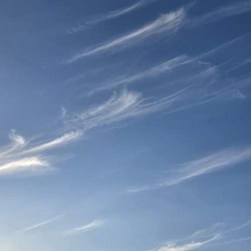 Photo #13736187