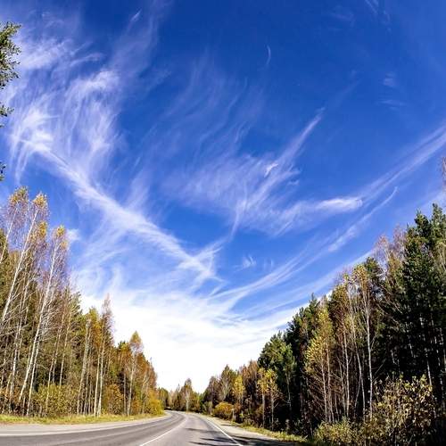 Photo #13736198