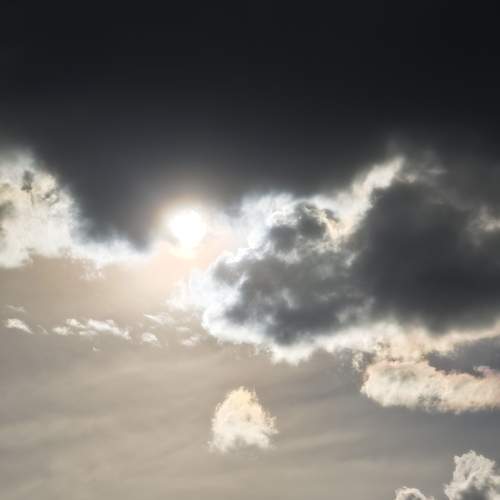 Photo #13736210