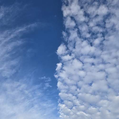 Photo #13736220