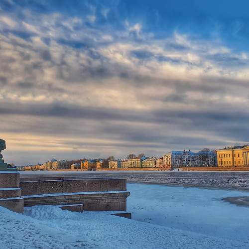 Photo #13736239
