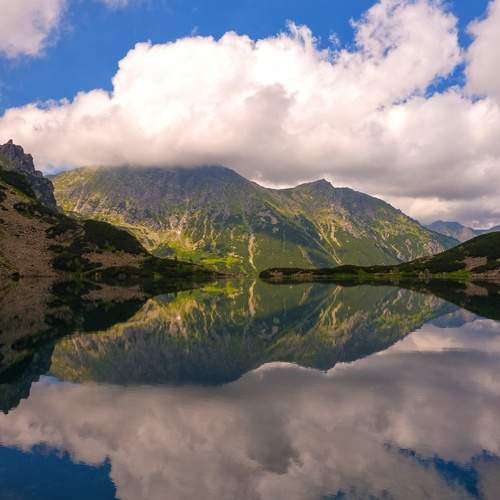 Photo #13736264