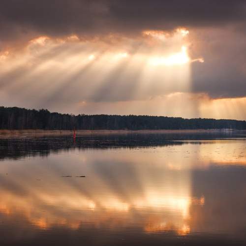 Photo #13736272