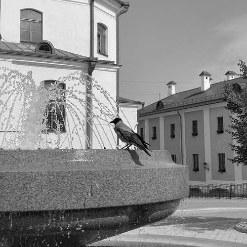Фотография #13736281