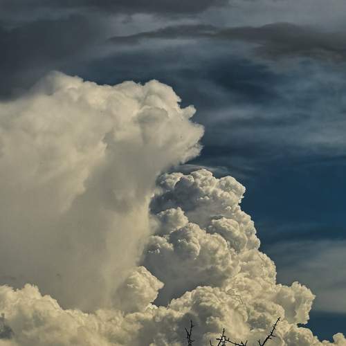 Photo #13736284
