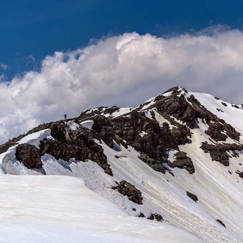 Photo #13736291