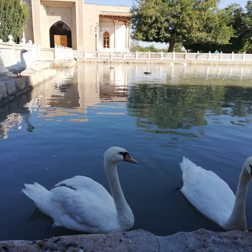 Photo #13736308