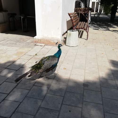 Photo #13736309