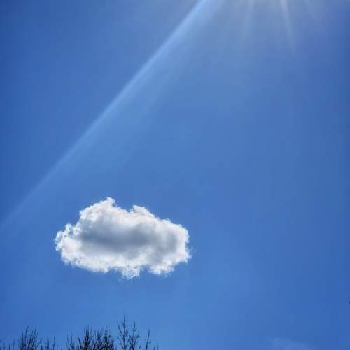 Photo #13736318