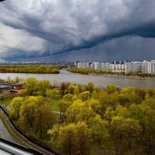 Photo #13736319