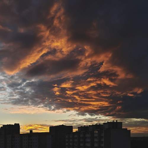 Photo #13736345