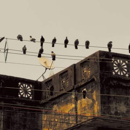 Photo #13736350