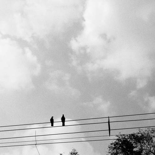 Photo #13736403