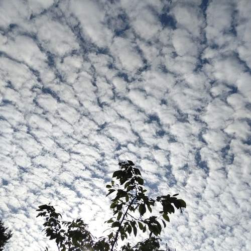 Photo #13736414