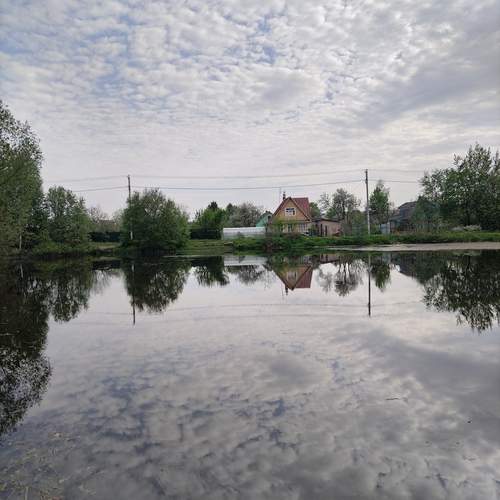 Photo #13736419
