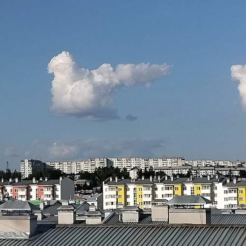 Photo #13736439