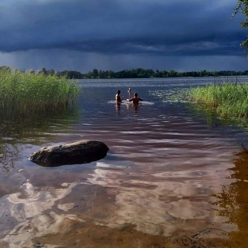 Photo #13736440