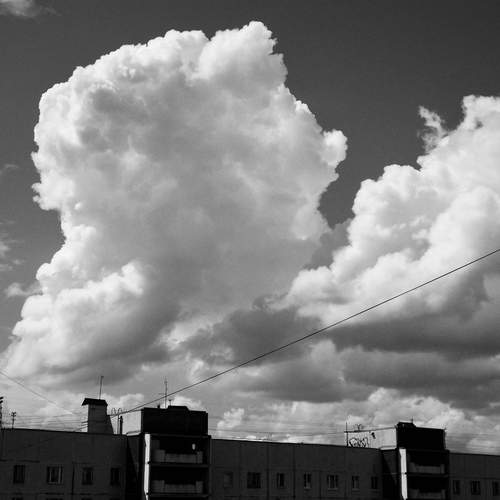 Photo #13736471