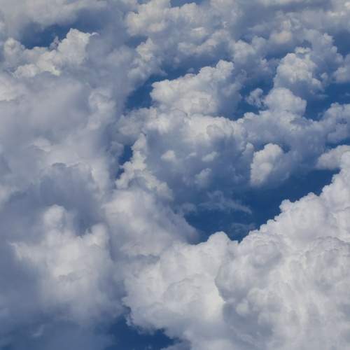 Photo #13736472
