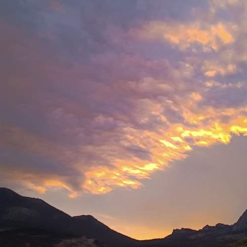 Photo #13736473