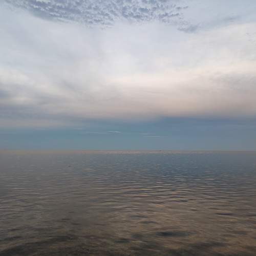 Photo #13736474