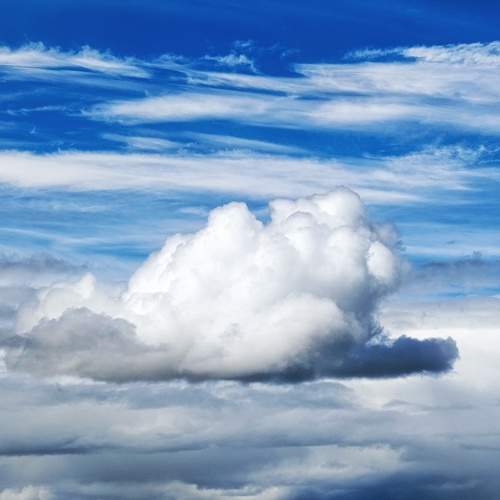 Photo #13736476