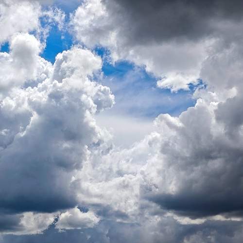 Photo #13736478