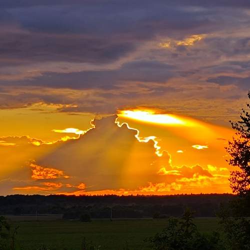 Photo #13736482