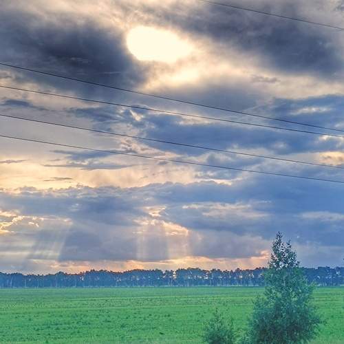 Photo #13736492