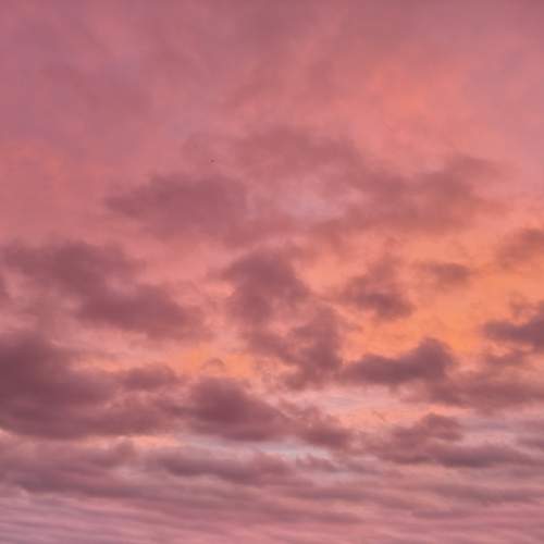 Photo #13736513