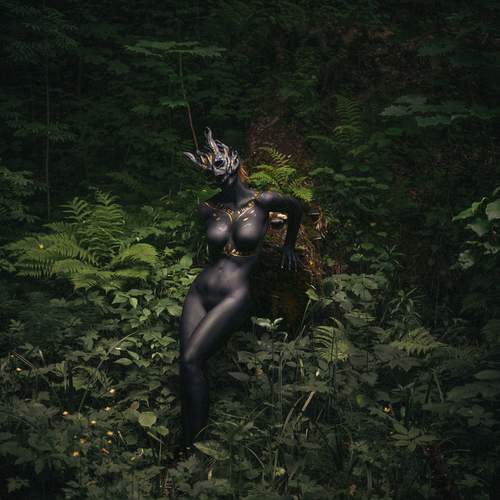 Photo #13736525