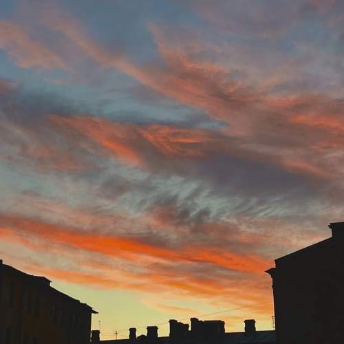 Photo #13736528