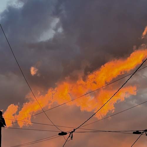 Photo #13736529