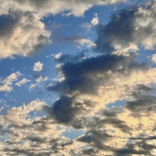 Photo #13736530