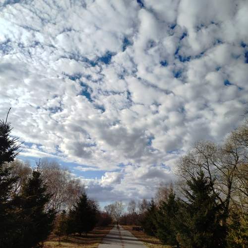 Photo #13736556
