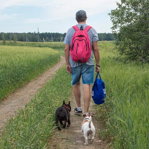 Photo #13736558