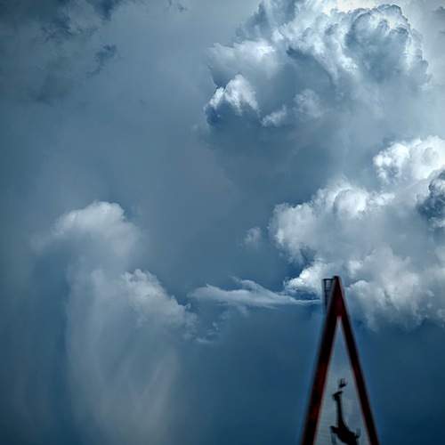 Photo #13736601
