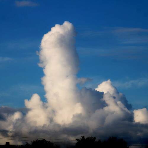 Photo #13736604
