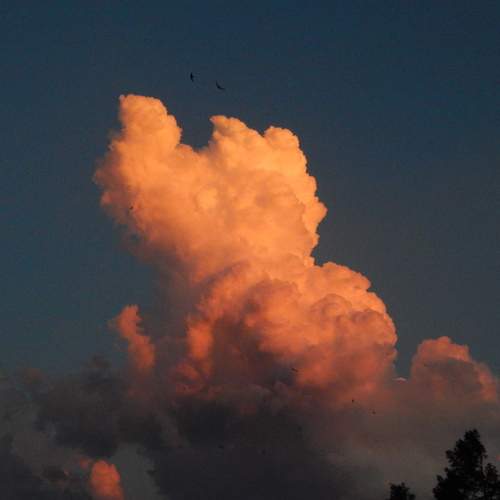 Photo #13736605