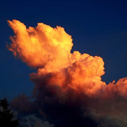 Photo #13736606