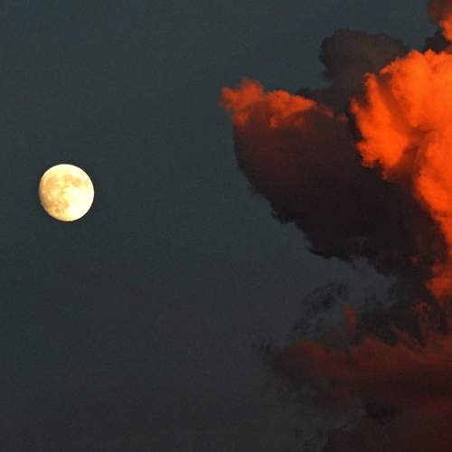 Photo #13736607