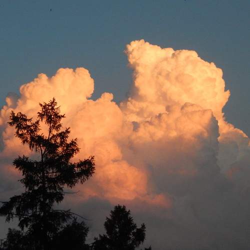 Photo #13736608