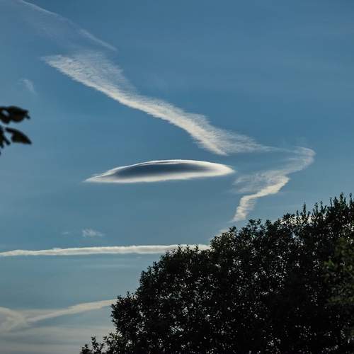 Photo #13736625