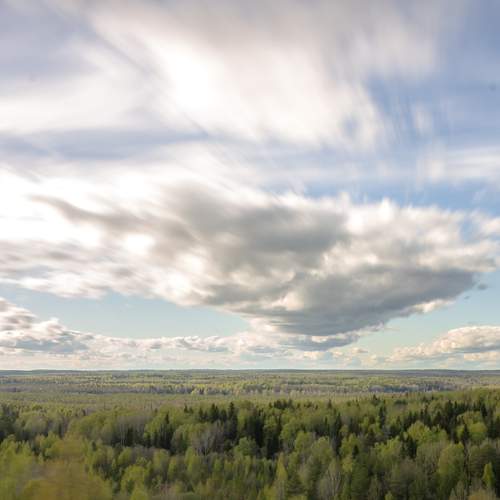 Photo #13736635