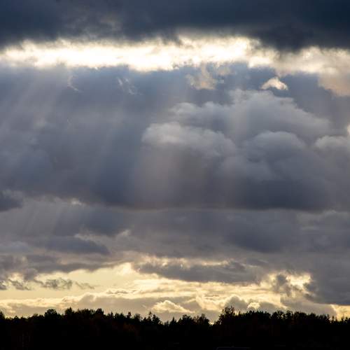 Photo #13736662
