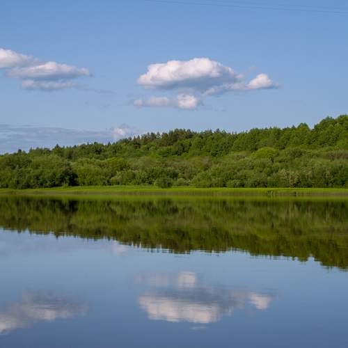Photo #13736664