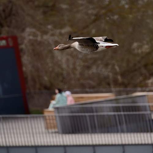 Photo #13736751