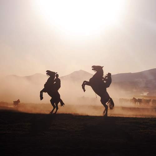 Photo #13736770