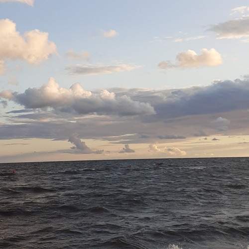 Photo #13736773