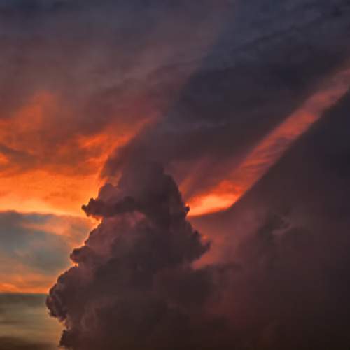 Photo #13736794